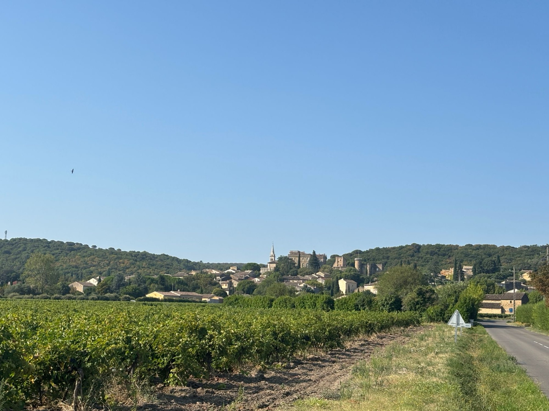 Rochegude, au milieu des vignes